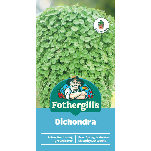 Mr Fothergill's Dichondra Seeds Low-Maintenance Ground Cover & Lawn Alternative
