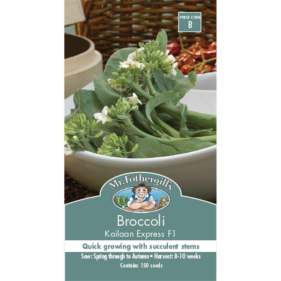 Mr Fothergill's Kailaan Broccoli Seeds - 10 Weeks - Edible Benefits - SuperSaverAU - view 1