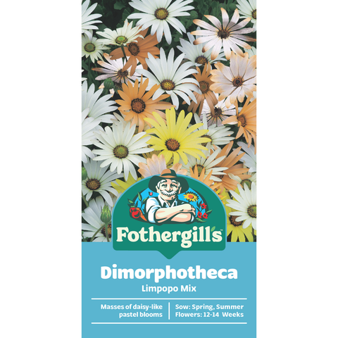 Mr Fothergill's Dimorphotheca Limpopo Mixed Flower Seeds