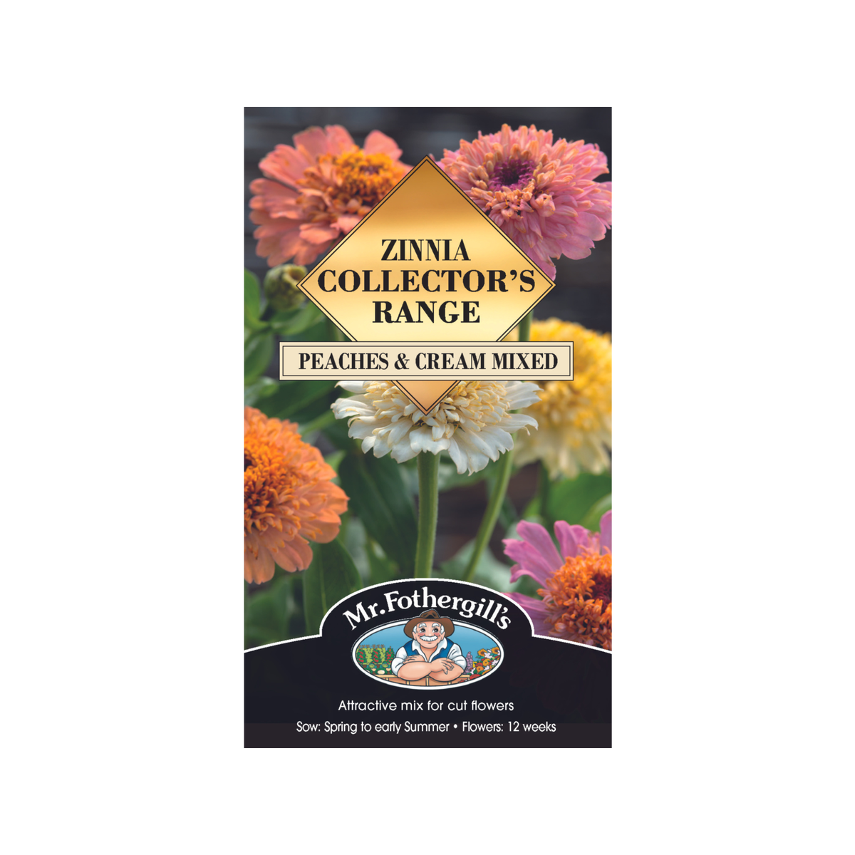 Mr Fothergill Zinnia Peaches and Cream Mixed Seeds - 50 Seeds - 75cm Height - Soft Tones