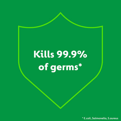 Dettol Lemon Lime Burst Multi Purpose Wipes 300 Pack - 120mm x 205mm - Kills 99.9% Germs