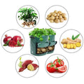10 Gallon Potato Grow Bag with Side Window and Handles - Dark Green, Single - view 4