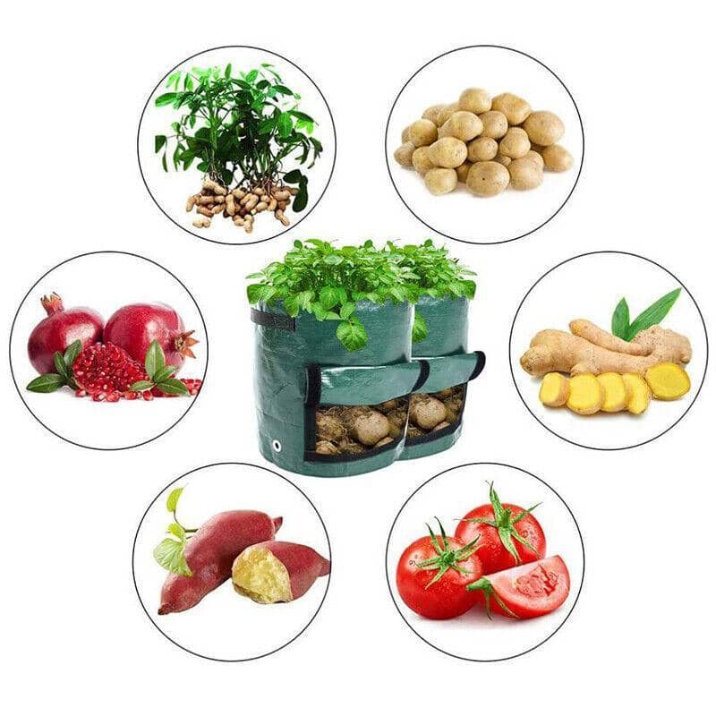 10 Gallon Potato Grow Bag with Side Window and Handles - Dark Green, Single - view 4