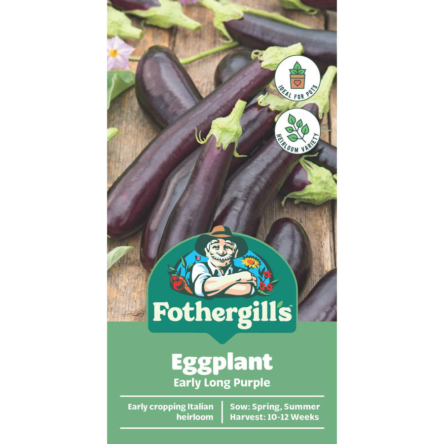 Mr Fothergill's Long Purple Eggplant Seeds - Large Flavoursome Fruit