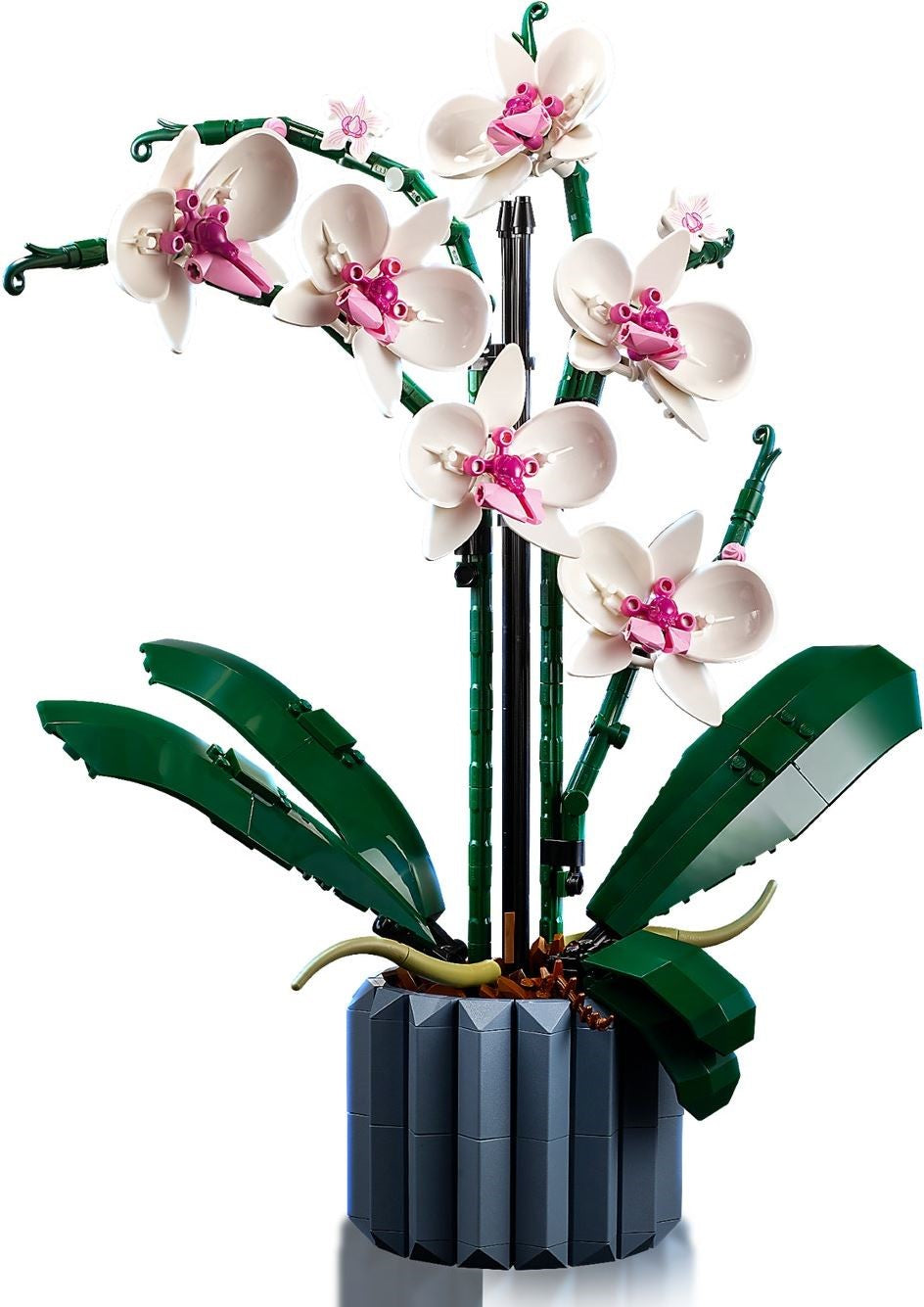 LEGO Creator Expert 10311 Orchid- Auzzi Store