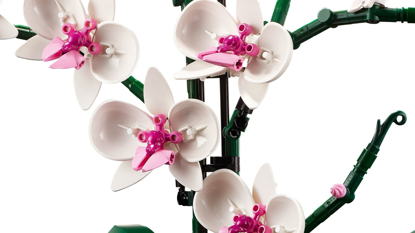 LEGO Creator Expert 10311 Orchid- Auzzi Store