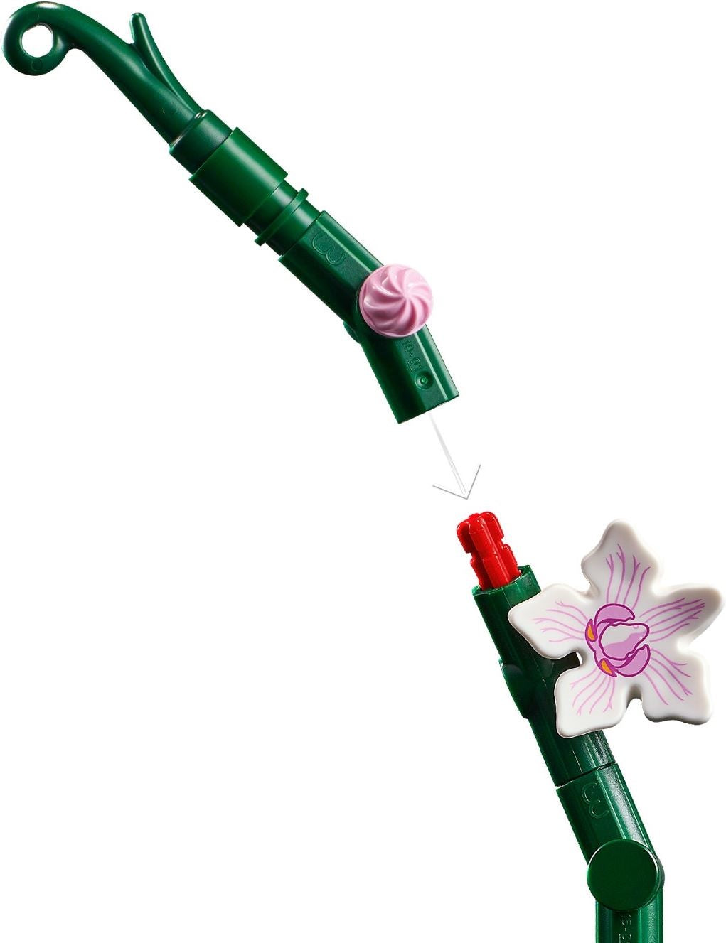 LEGO Creator Expert 10311 Orchid- Auzzi Store
