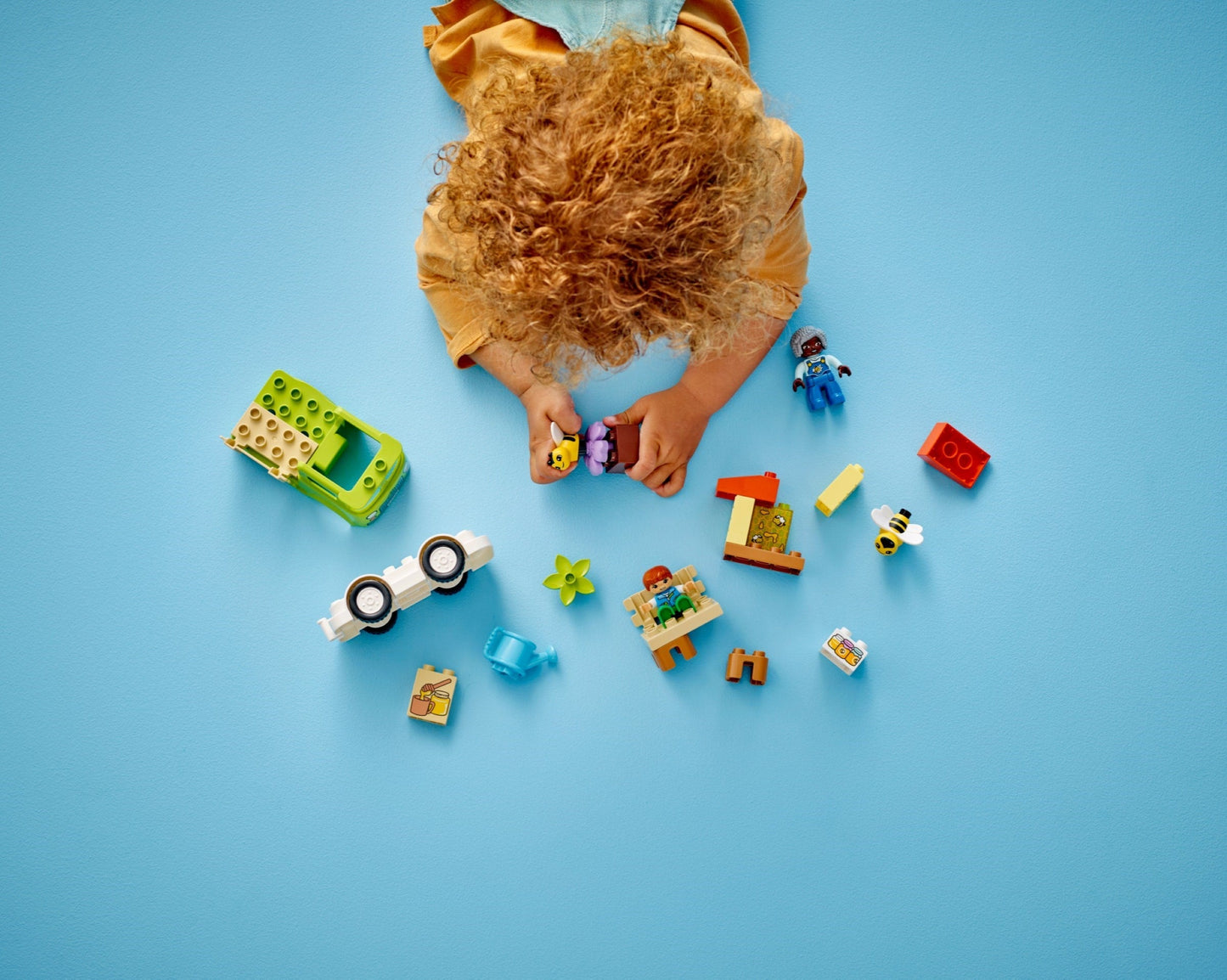 LEGO DUPLO 10418 Caring for Bees Beehives