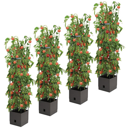 Greenlife Tomato Tower With 3 Tier Frame 4 x Pack
