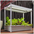 Greenlife 2 x Twin LED Self Watering Salad Grower With 8 Pots White 56 x 29 x 405 cm - SuperSaverAU - view 4