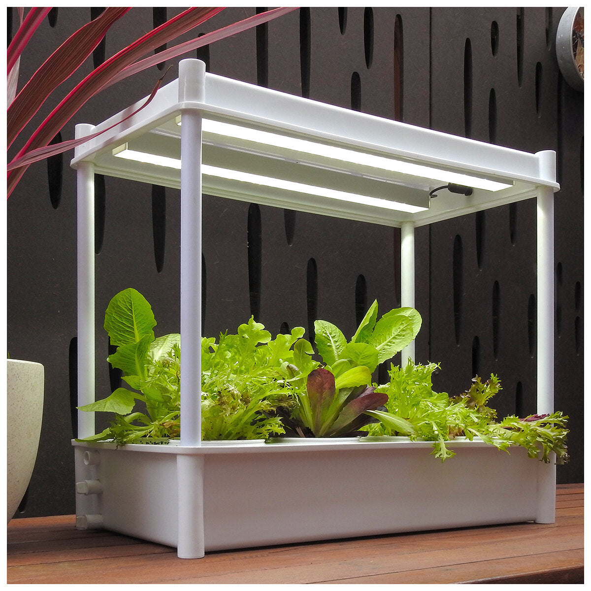 Greenlife 2 x Twin LED Self Watering Salad Grower With 8 Pots White 56 x 29 x 405 cm - SuperSaverAU - view 4