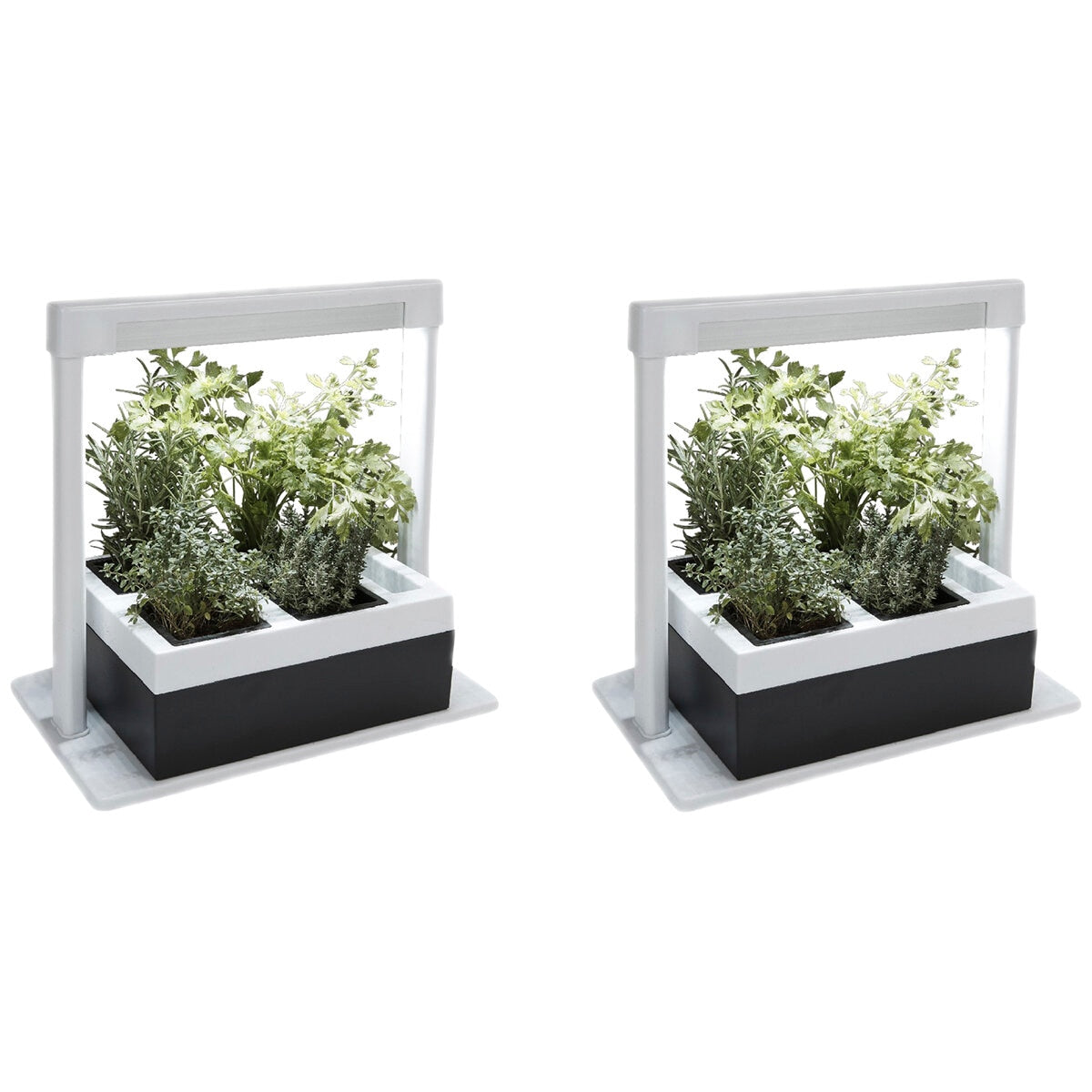 Greenlife 2 x Herb Lamp LED 4 Pot Grower 37 x 22 x 36cm - SuperSaverAU - view 2