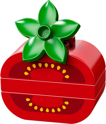 LEGO 10566 DUPLO Creative Picnic Building Blocks Set