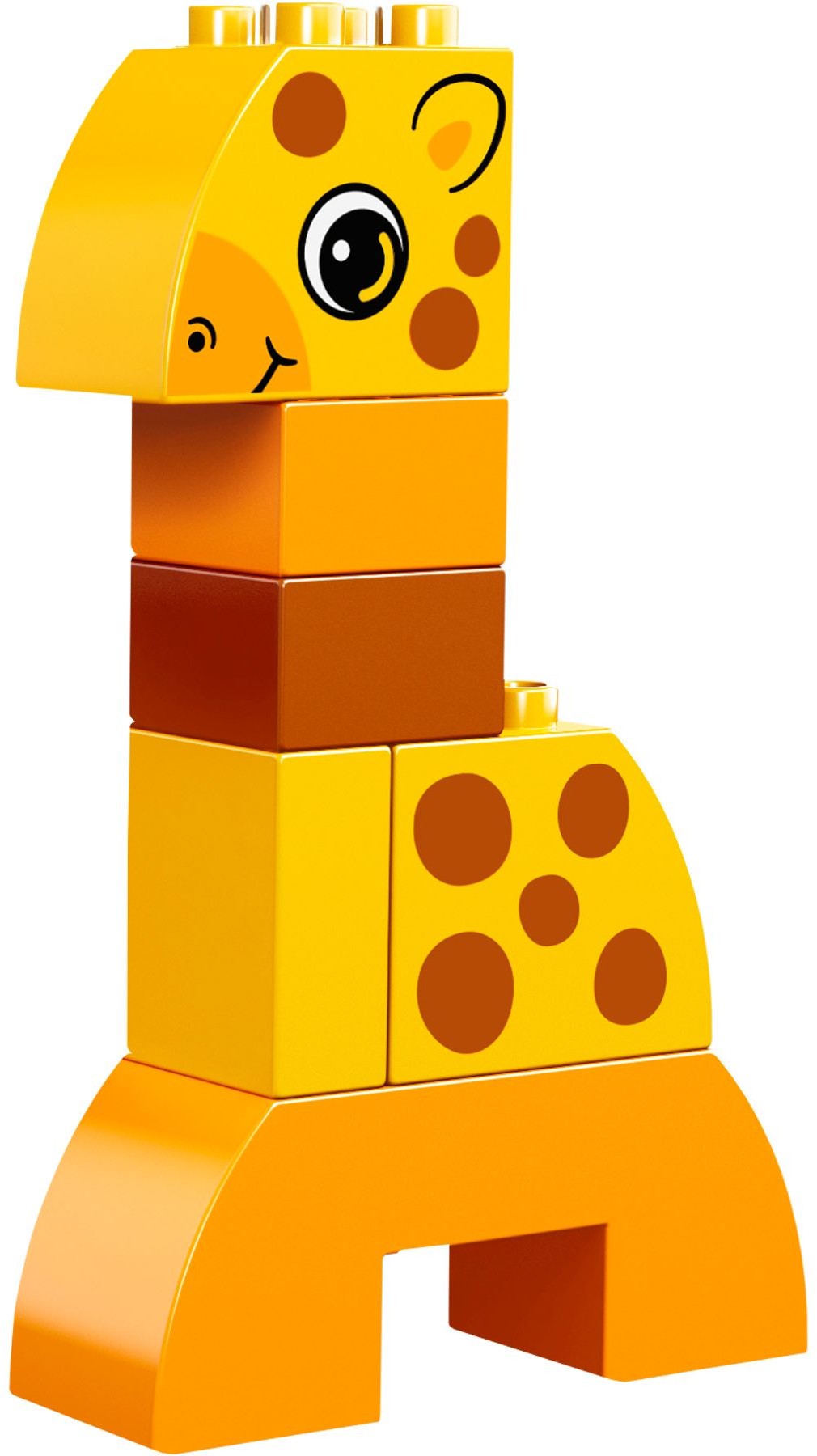 LEGO 10573 Creative Animals Building Set: Fun for Kids