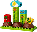 LEGO 10819 My First Garden - Toddler Building Set with Bunny - SuperSaverAU - view 1