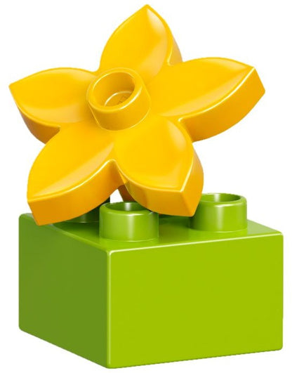 LEGO 10854 DUPLO Creative Box: 120+ Bricks for Kids 2-5