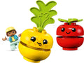 LEGO DUPLO My First Fruit and Vegetable Building Toy - SuperSaverAU - view 3