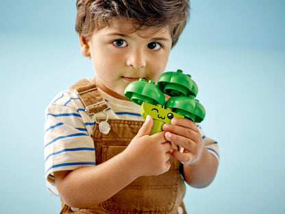 LEGO DUPLO My First Fruit and Vegetable Building Toy