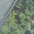 Backyard Farmer Anti Bird Net - 10 x 10m - 5mm - UV-Resistant - White - Easy Installation - SuperSaverAU - view 2