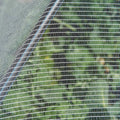 Backyard Farmer Anti Bird Net 10 x 10m, 5mm Mesh