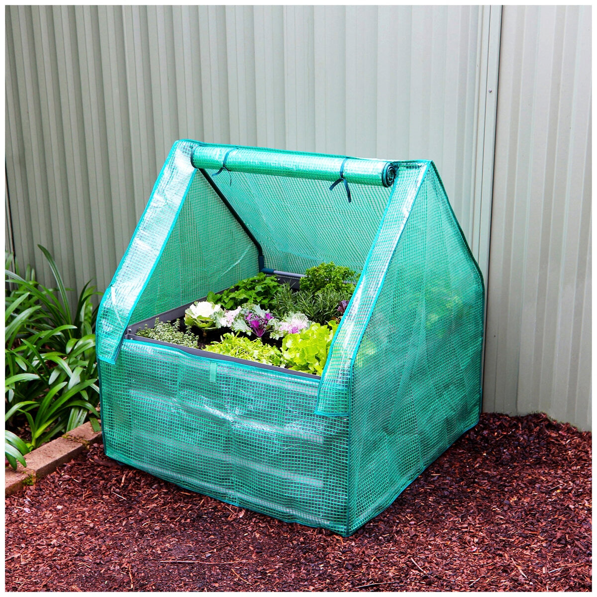 Greenlife Raised Garden Bed Slate Grey With Drop Over Greenhouse 85 x 85 x 45 cm - SuperSaverAU - view 1