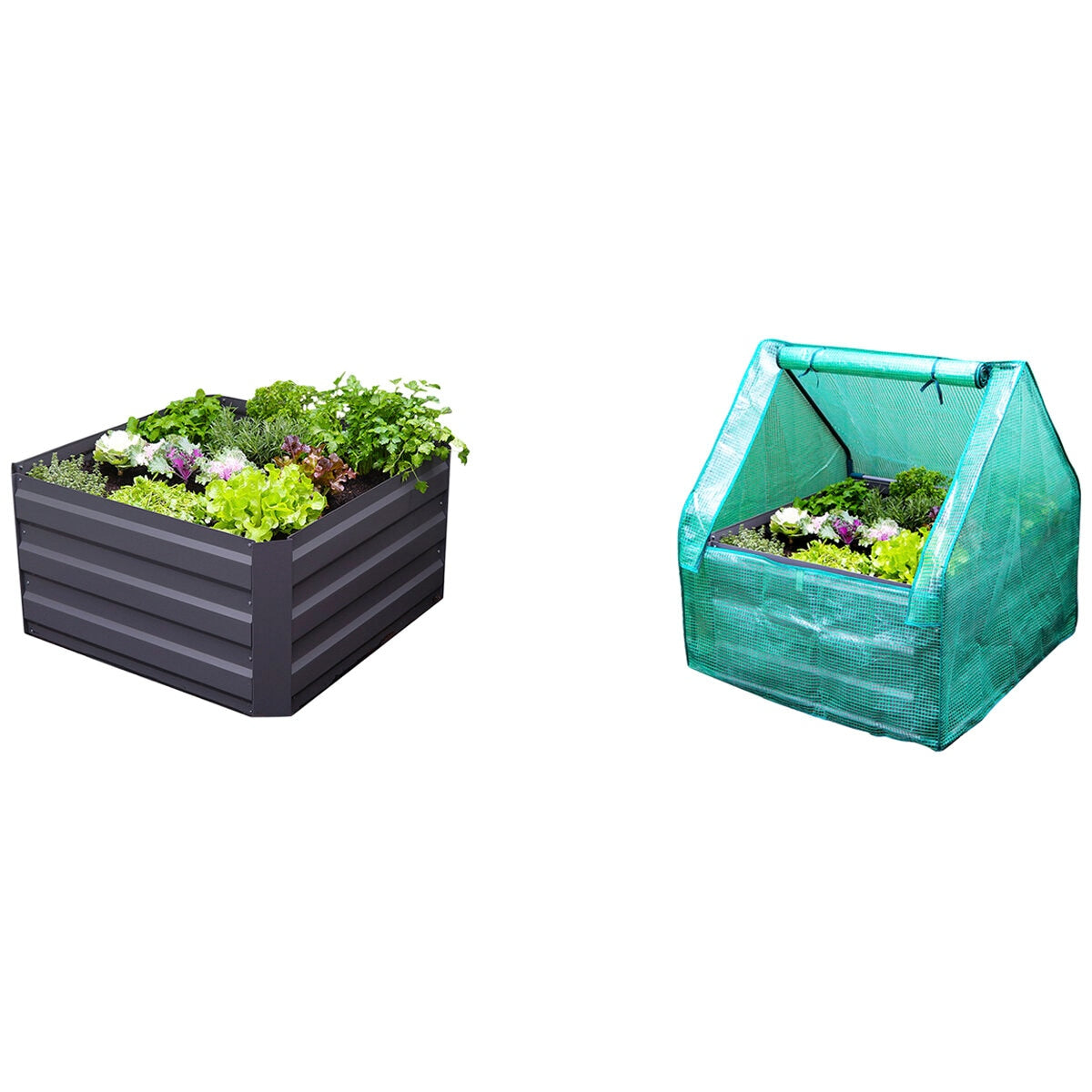 Greenlife Raised Garden Bed Charcoal With Drop Over Greenhouse 85 x 85 x 45cm