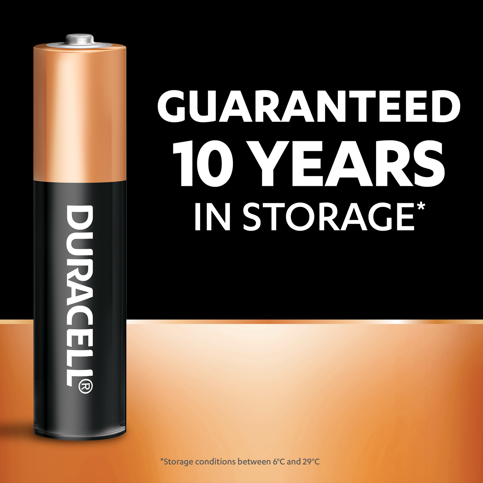 Duracell Coppertop AAA Alkaline Batteries - 24 Pack