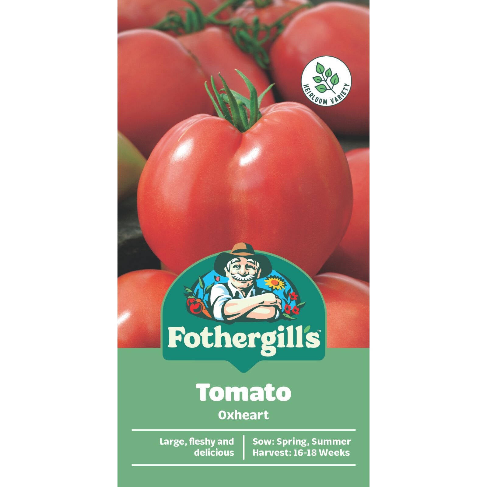Mr Fothergill's Oxheart Tomato Seeds - Large Fleshy Red Fruit