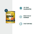 Taubmans Sunproof Accent Gloss Water Based Acrylic Exterior Paint 1L
