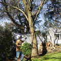 Ryobi 18V One EZ Reach HP 10” Pole Pruner Attachment - Efficient Pruning Tool - SuperSaverAU - view 5