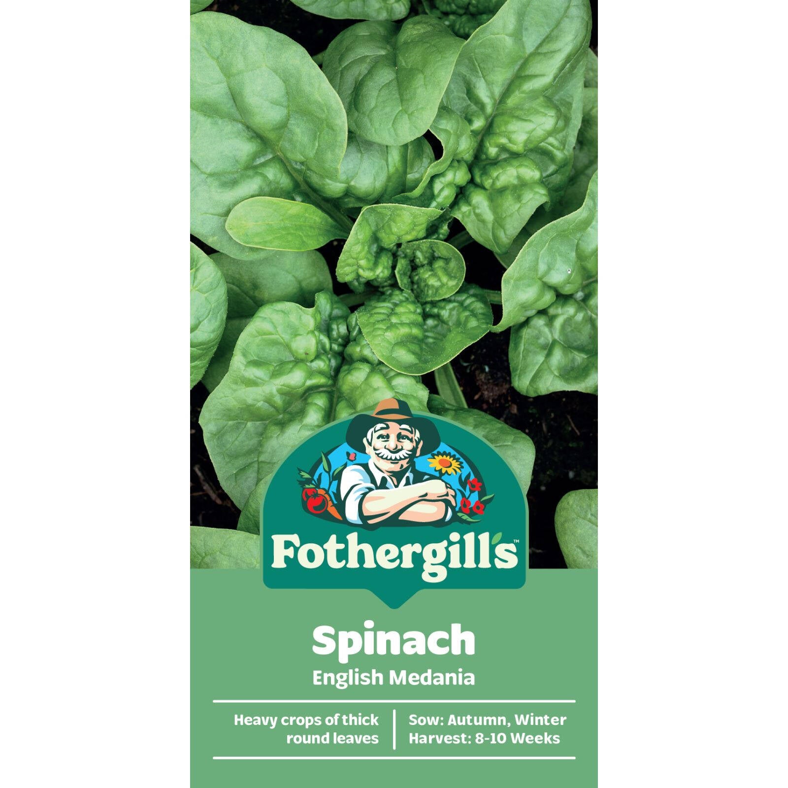 Mr Fothergill's Spinach English Medania Seeds - Mildew-Resistant, Baby Leaf or Full, Sun & Part Shade