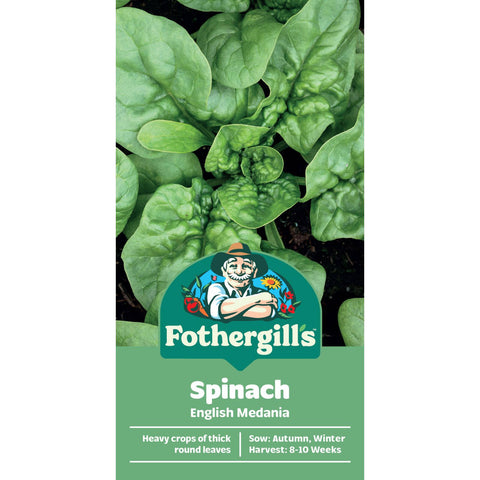 Mr Fothergill's Spinach English Medania Seeds - Mildew-Resistant, Baby Leaf or Full, Sun & Part Shade