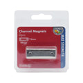 Everhang Rare Earth Channel Magnet 2 Pack - 40 x 13.5mm - Silver - Durable - SuperSaverAU - view 4