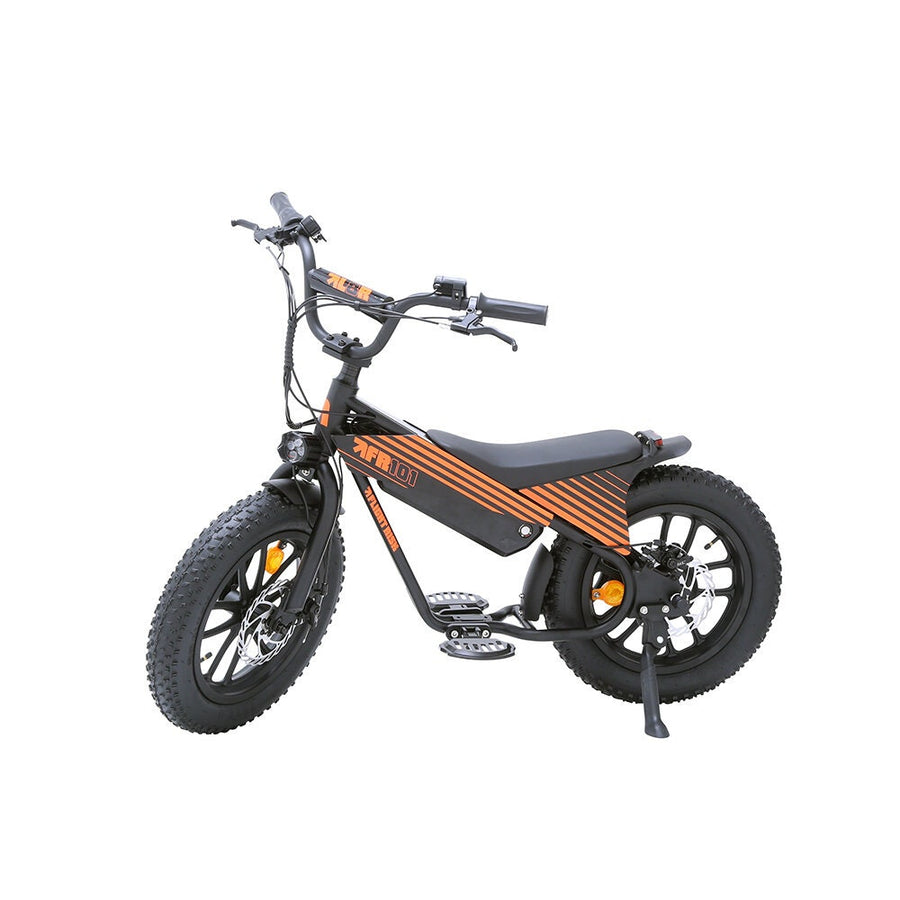 Flight Risk FR101 E-Bike for Ages 4 and Up - 16 Inch Frame, 250W Motor, 36V 10Ah Battery - FR-101BLACK