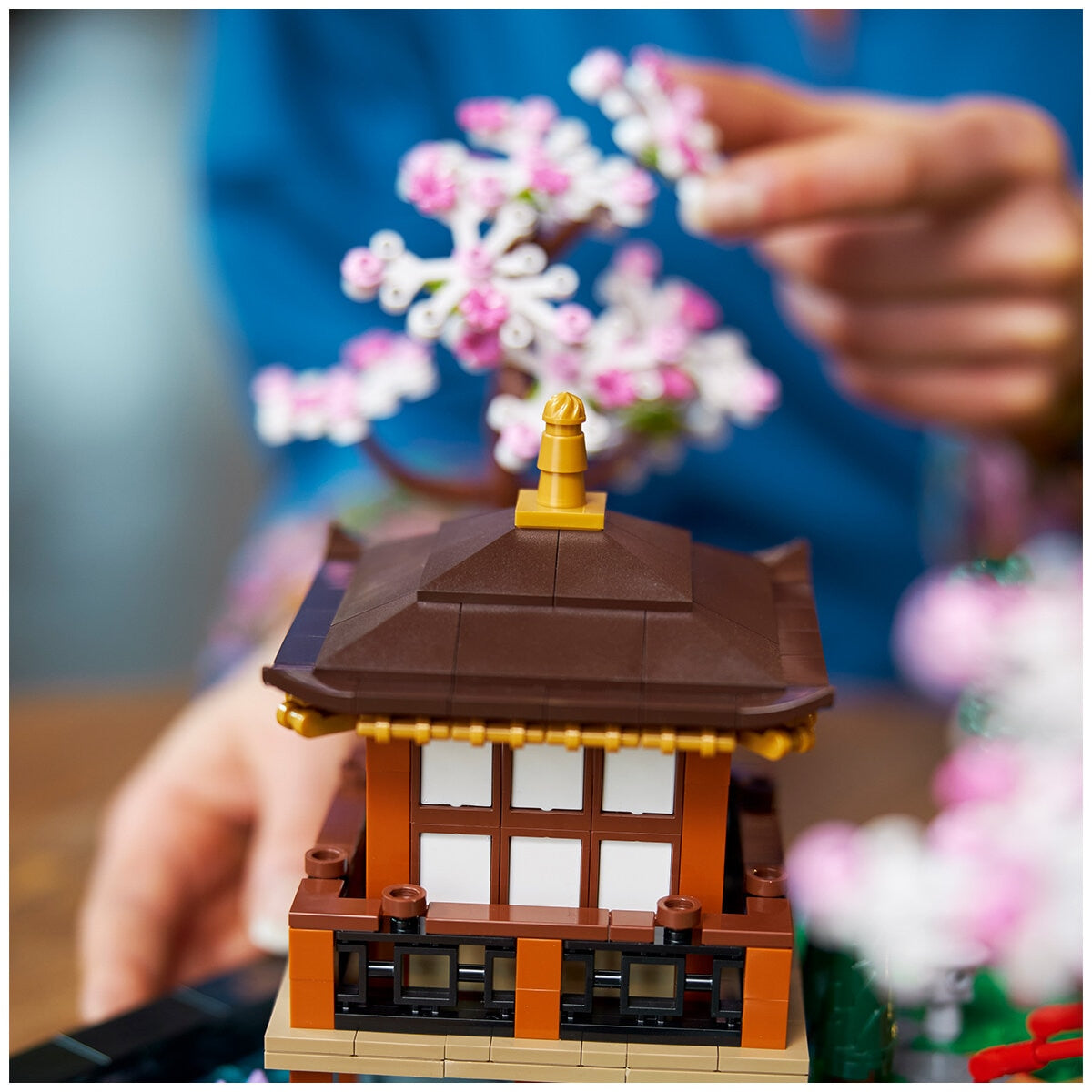LEGO Icons Tranquil Garden 10315 - SuperSaverAU - view 3