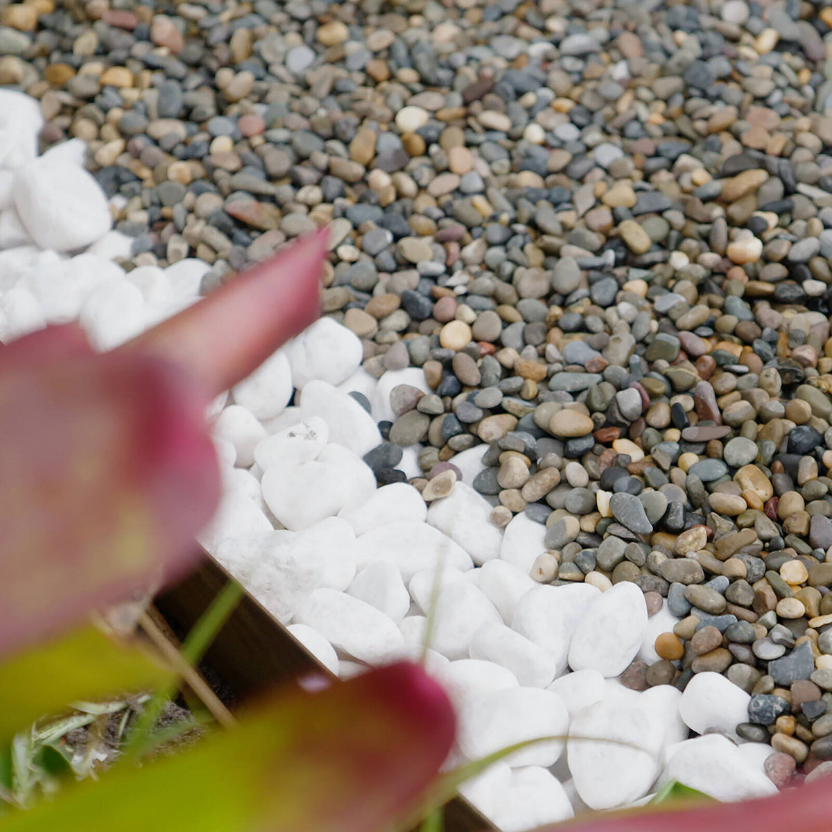 Jack 35-50mm Bright White Decorative Pebble, Garden Edging Stone