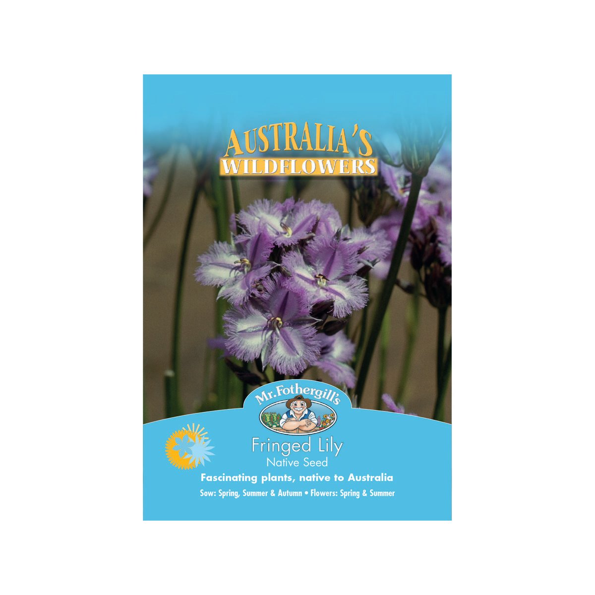 Mr Fothergill Fringed Lily Seeds - 50cm - Seeds - Hardy Drought Resistant - SuperSaverAU - view 1