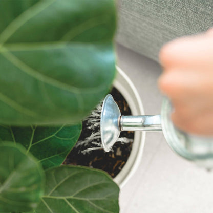 Holman 5L Galvanised Watering Can - Silver - Durable Metal Construction