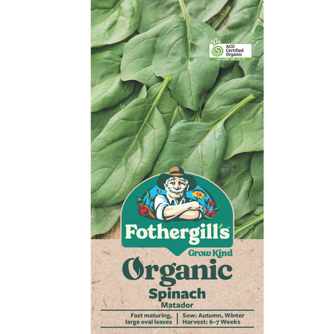 Mr Fothergill's Spinach Matador Seeds, Fast-Maturing in 7 Weeks, Sun or Part Shade