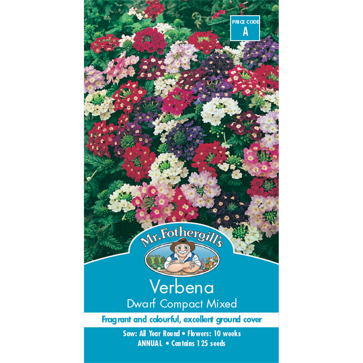 Mr Fothergill Verbena Dwarf Compact Flower Seeds 20cm Seeds Ground Cover - SuperSaverAU - view 1