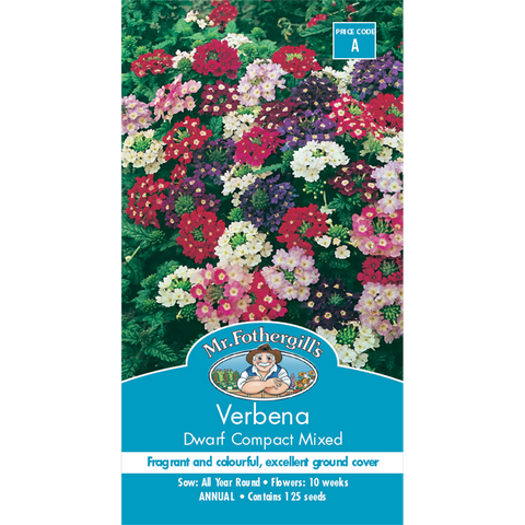 Mr Fothergill Verbena Dwarf Compact Flower Seeds 20cm Seeds Ground Cover - SuperSaverAU - view 1
