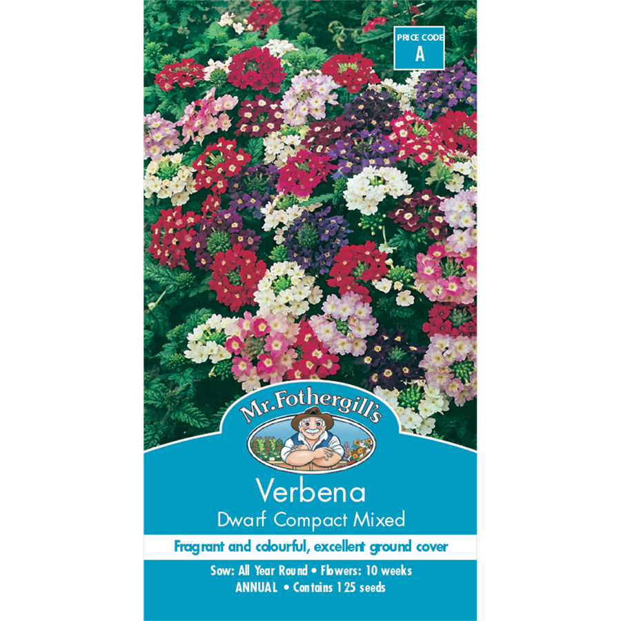 Mr Fothergill Verbena Dwarf Compact Flower Seeds 20cm Seeds Ground Cover - SuperSaverAU - view 1