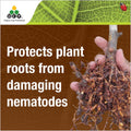 Ocp Eco Nemguard Organic Nematicide 350g - Granular Nematode Treatment - SuperSaverAU - view 2