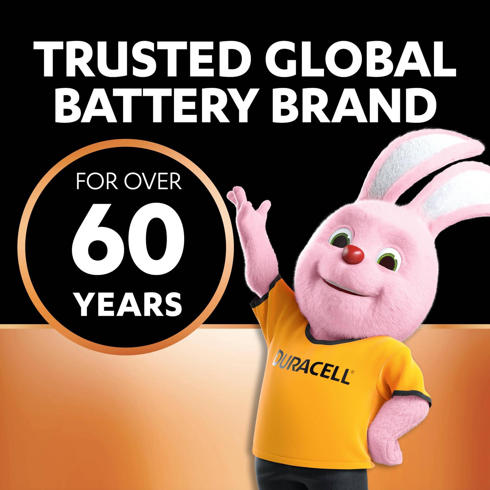 Duracell Coppertop AAA Alkaline Batteries 48 Pack
