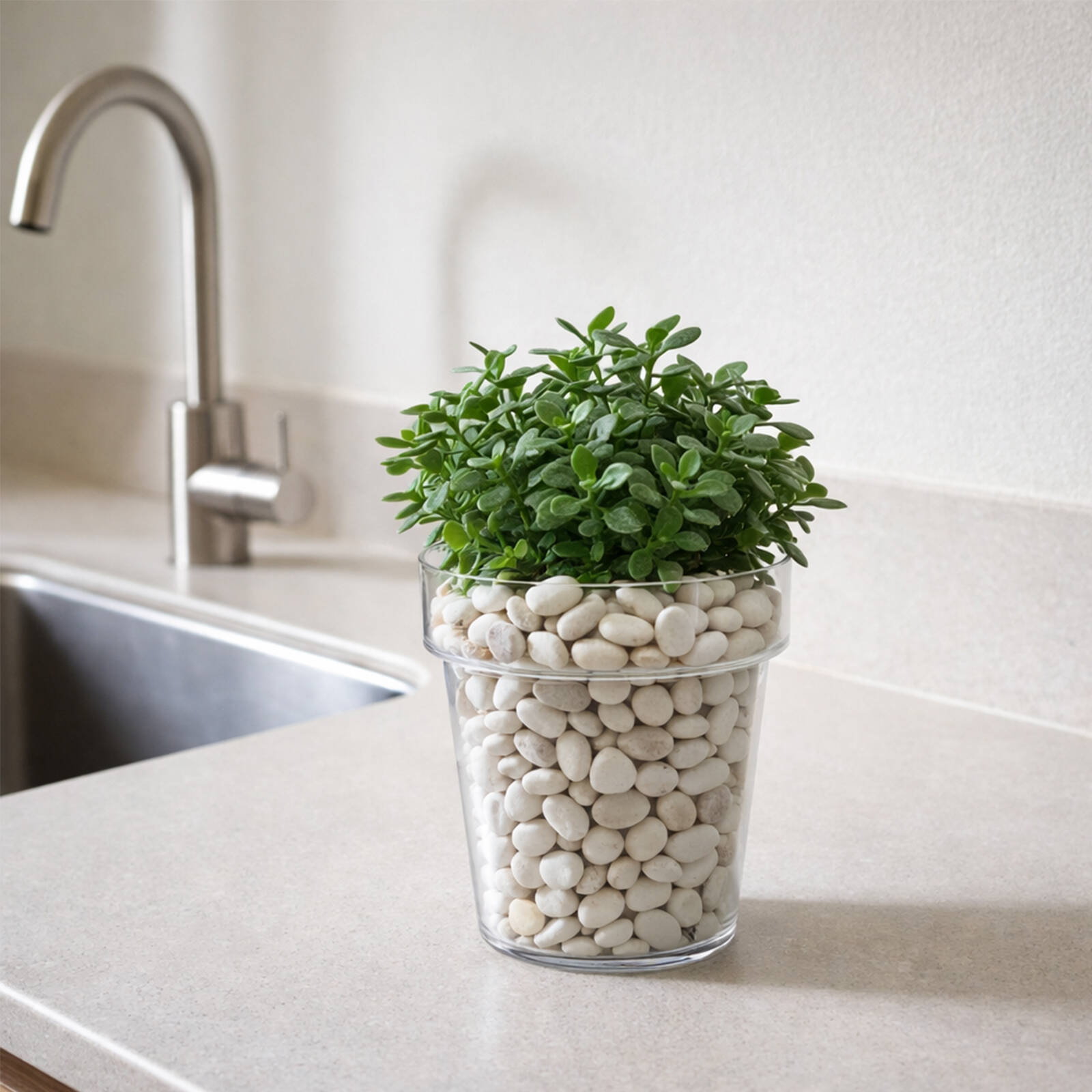 Eden 20cm Clear Round Planter 4L Polypropylene