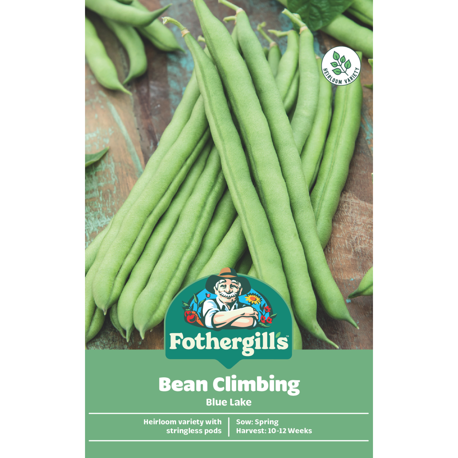 Mr Fothergill's Blue Lake Climbing Bean Vegetable Seeds, Round Stringless Pods