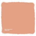 Dulux 340g Italian Clay Satin Spray Paint, Indoor, 2.2m2/L Coverage