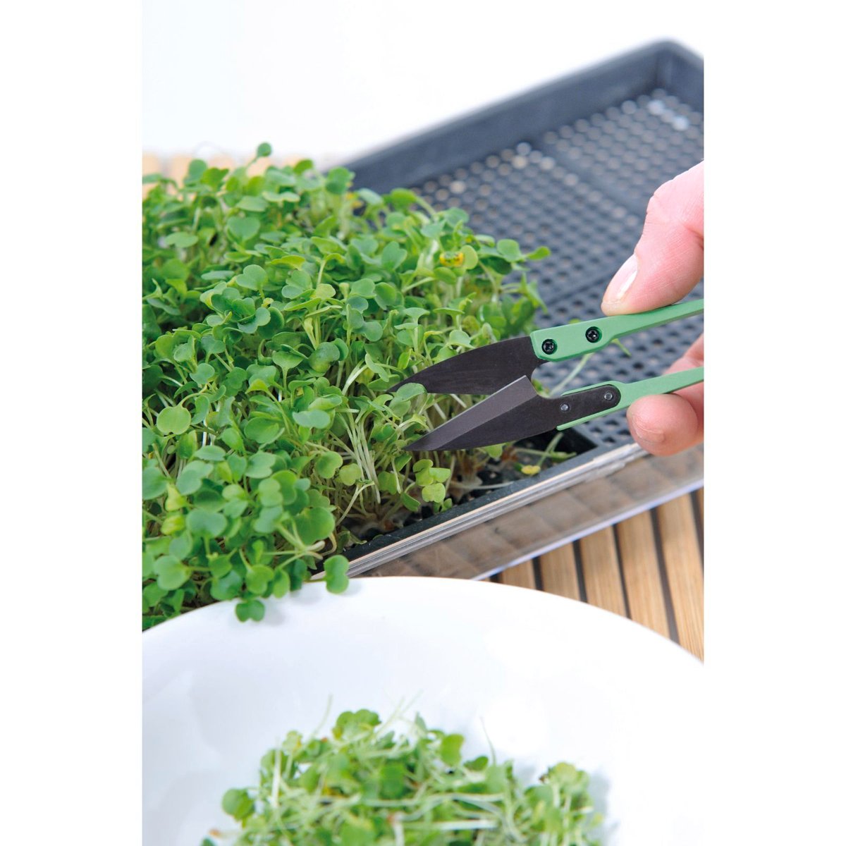 Mr Fothergill Micro Snips - Carbon Steel - 100mm - Easy Harvesting - SuperSaverAU - view 2