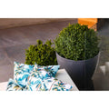 Mojo Cushion Cover - 60cm - Polyester - L.A. Palm Blue Design - SuperSaverAU - view 2