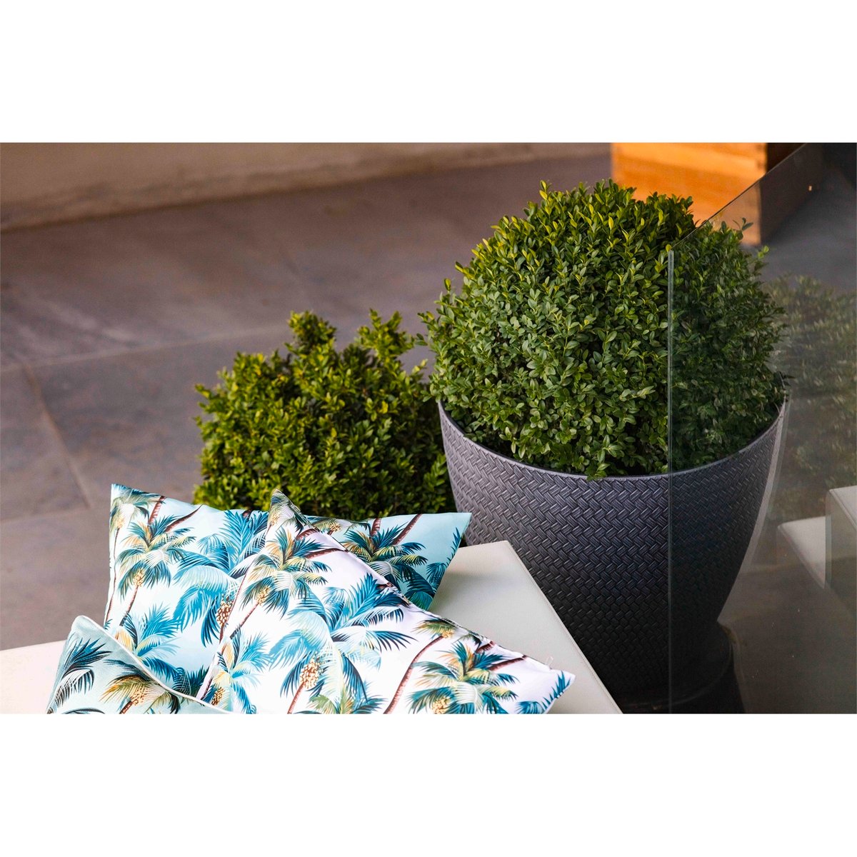 Mojo Cushion Cover - 60cm - Polyester - L.A. Palm Blue Design - SuperSaverAU - view 2